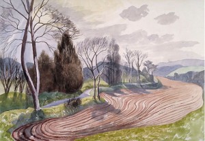 Gibberd Watercolour