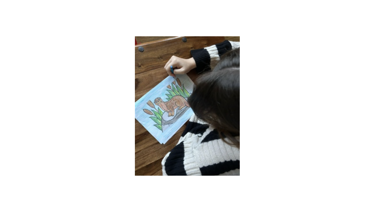 Responsive image