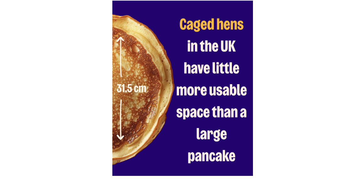 Responsive image